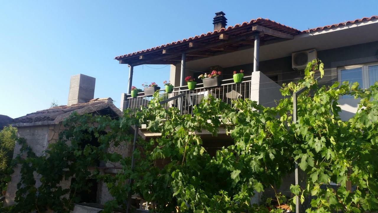 Apartment Vice Sibenik Bagian luar foto